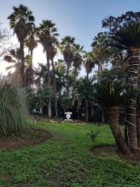 les allées du Parc_1.jpg